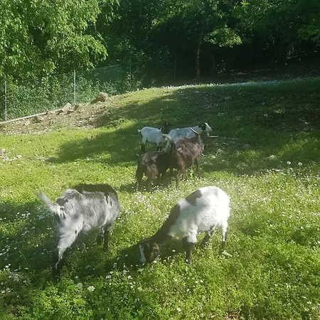 Scannaporco Gospodarstwo agroturystyczne *